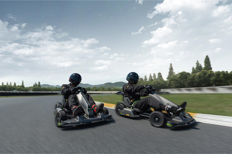 Segway KickScooter P65E