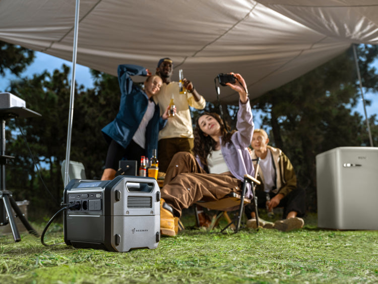 Segway KickScooter P65E