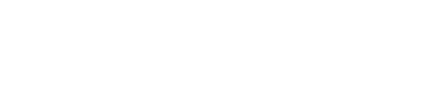 Segway KickScooter P65E